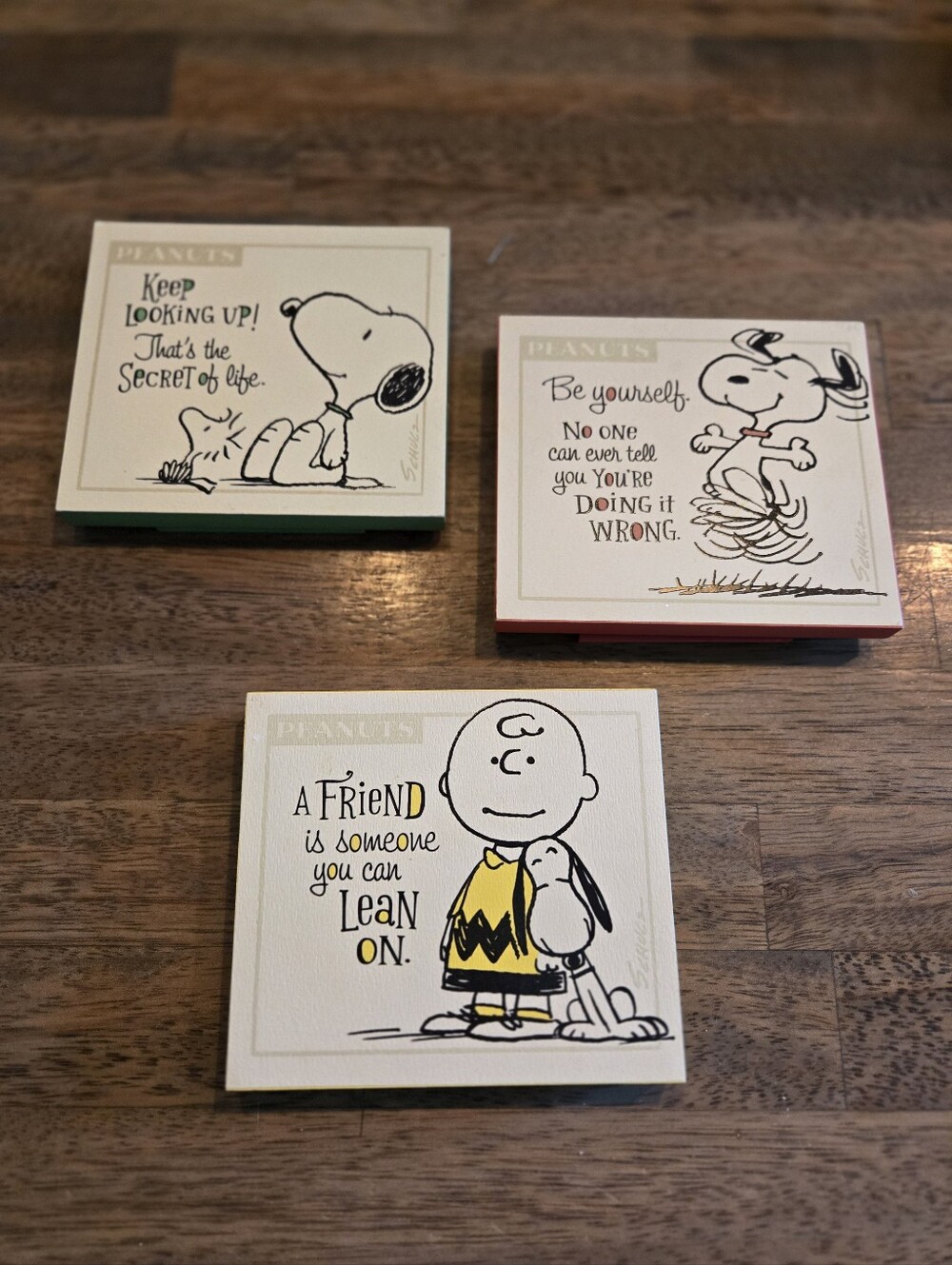 Peanuts Charlie Brown & Snoopy Decorative Wall Decor